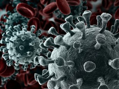 Webinar: Libertades en tiempos de pandemia