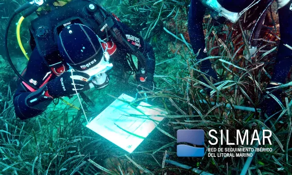 biólogos registran datos a partir de las observaciones submarinas